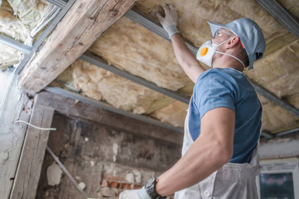 Types of Insulation We Offer in Port Carbon, PA