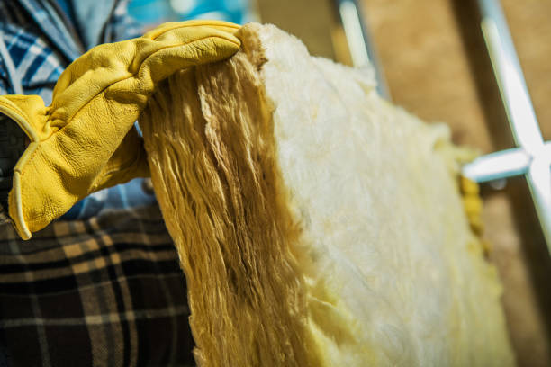 Best Eco-Friendly Insulation in Port Carbon, PA
