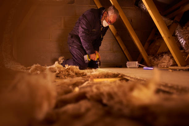 Best Insulation Maintenance and Repair in Port Carbon, PA
